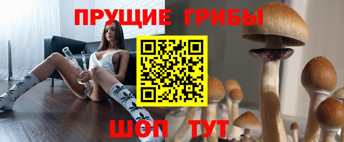 Псилоцибиновые грибы MAGIC MUSHROOMS  Галлюциногенные грибы Psilocybine cubensis  Вход с VPN  Ачинск 
